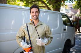 Professional Pest control in Meadview, AZ